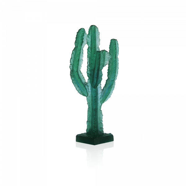 Cactus Vert Jardin de Cactus de Emilio Robba