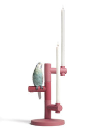 Parrot Star Candle Holder